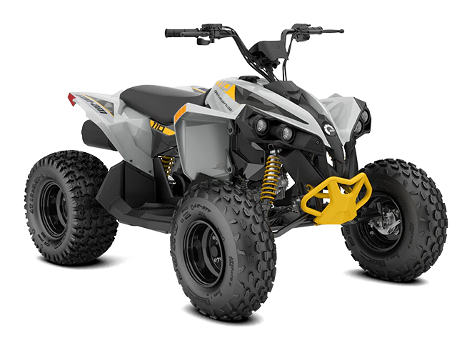ORV-ATV-MY23-Can-Am-Renegade-STD-110EFI